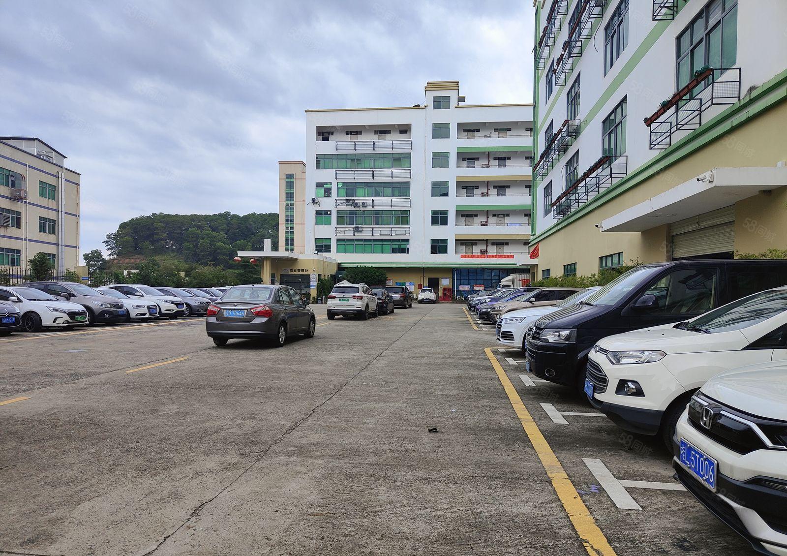 观澜高新区附近1楼2楼各2950平带办公室豪华装修大小分租