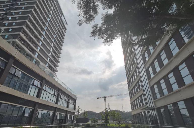 龙华双地铁口带装修红本研发楼厂房可办公1000平