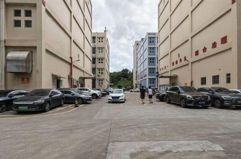 龙华大浪原房东工业区园300平至2900平精装修厂房出租分租