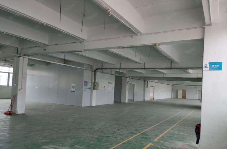 樟坑径新出1楼带豪华装修1380平方厂房仓库出租