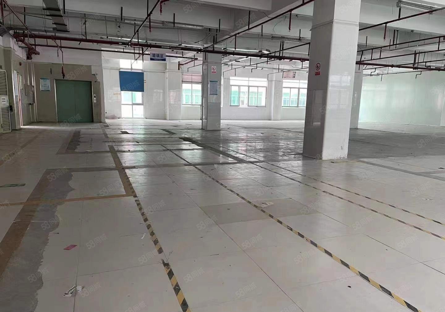 大浪园区厂房，整层2680平，标准货梯，价格便宜，易招工