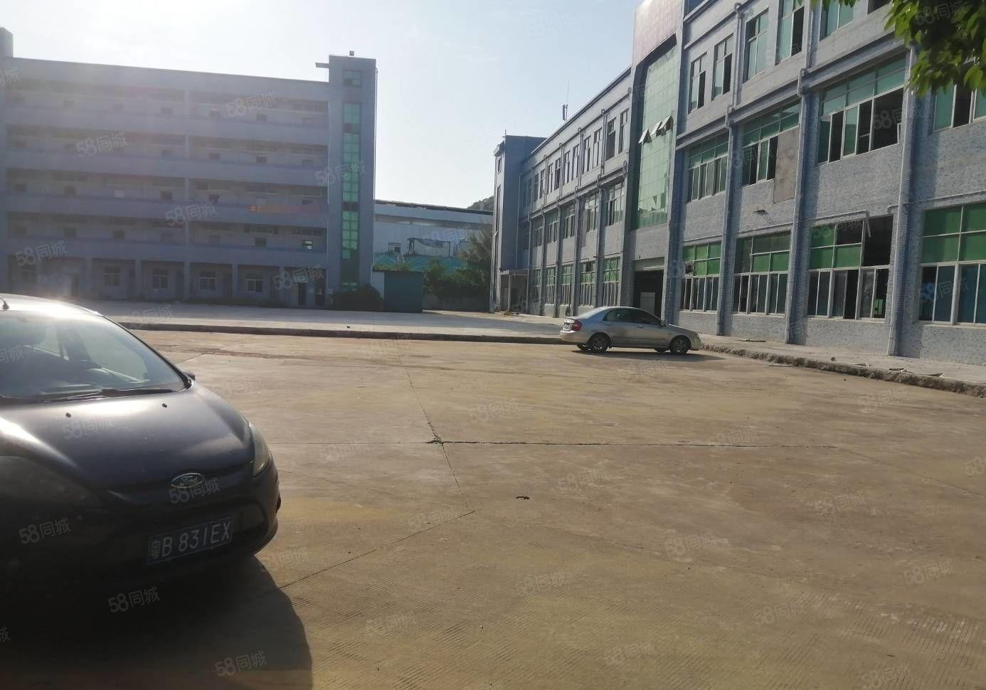 500平起分 观澜原房东独院15000平 水电齐全 带精装修