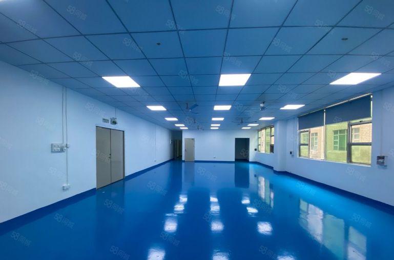 龙华石观工业区，精装修厂房600平出租，搬进来直接使用，可分