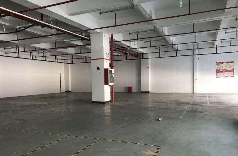 龙华高速出口原房东高薪红本办公厂房1400平有装修面积可分