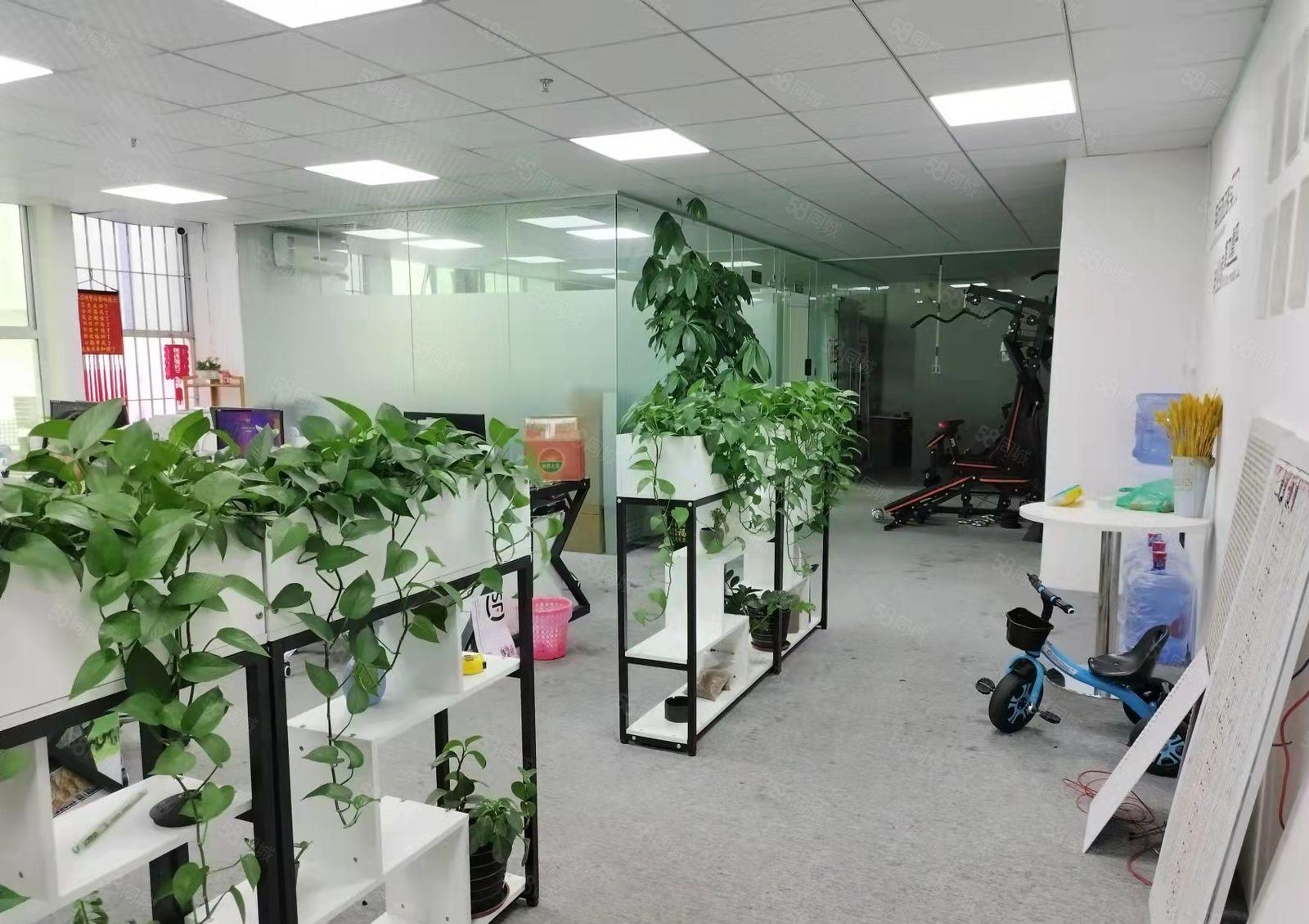 龙华大浪商业中心新出900平精装厂房出租