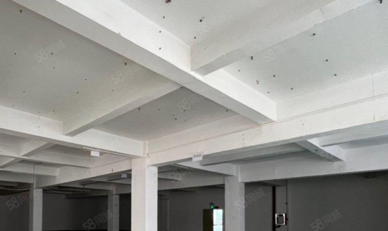 红本，可办租赁凭证，价格可面议