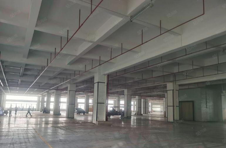 龙华科技园300~5000平定制装修，打造园林景观科技聚集地