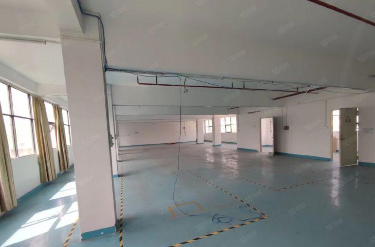 龙华大型工业园原房东精装修500平方办公厂房仓库低价出租