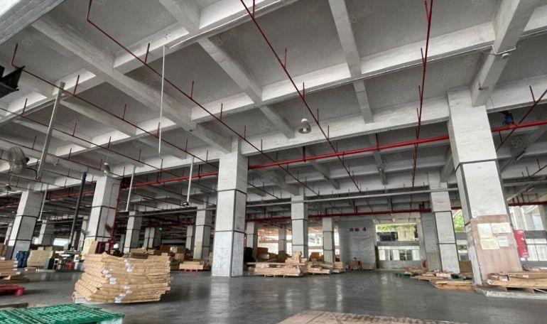 特价25 龙华20万平物流仓建筑面积出租 适合各类仓库行业