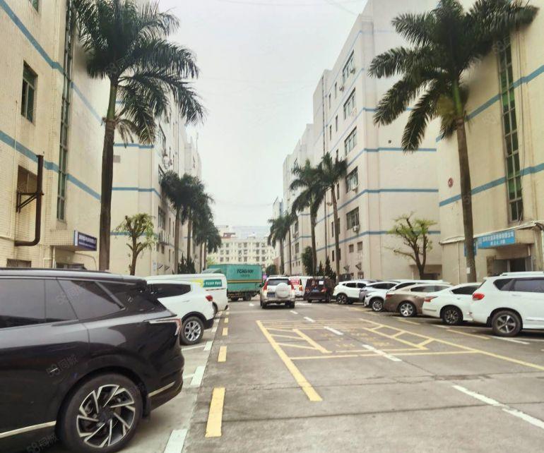 大浪东龙兴1340平有办公室隔间生产区带喷淋厂房现成装修