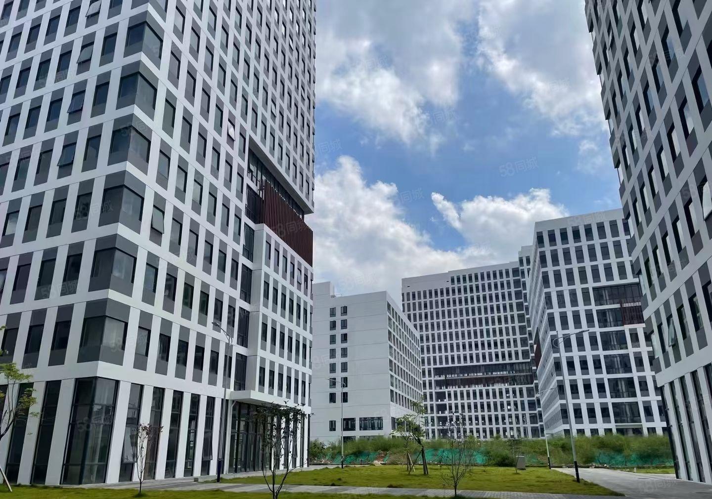 观澜 红本厂房 50000平米全新厂房出租 1000平米起租