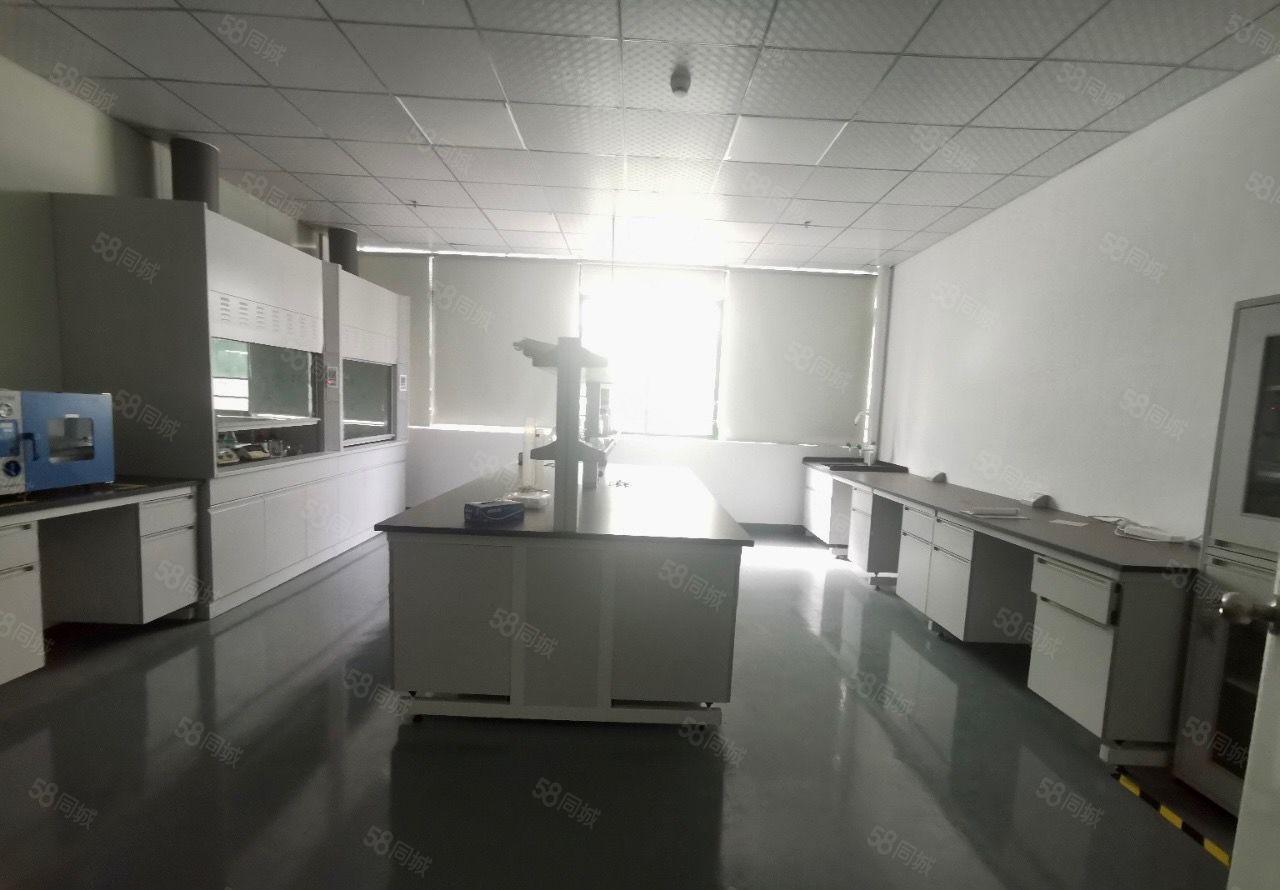 无尘车间，龙华区大浪新出2楼782平，大型园区交通便利。