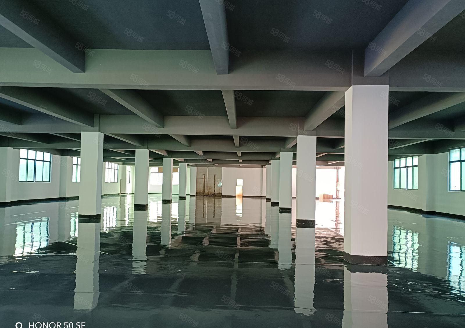 龙华大浪地铁站附近原房东物业18000平大小分租厂房出租