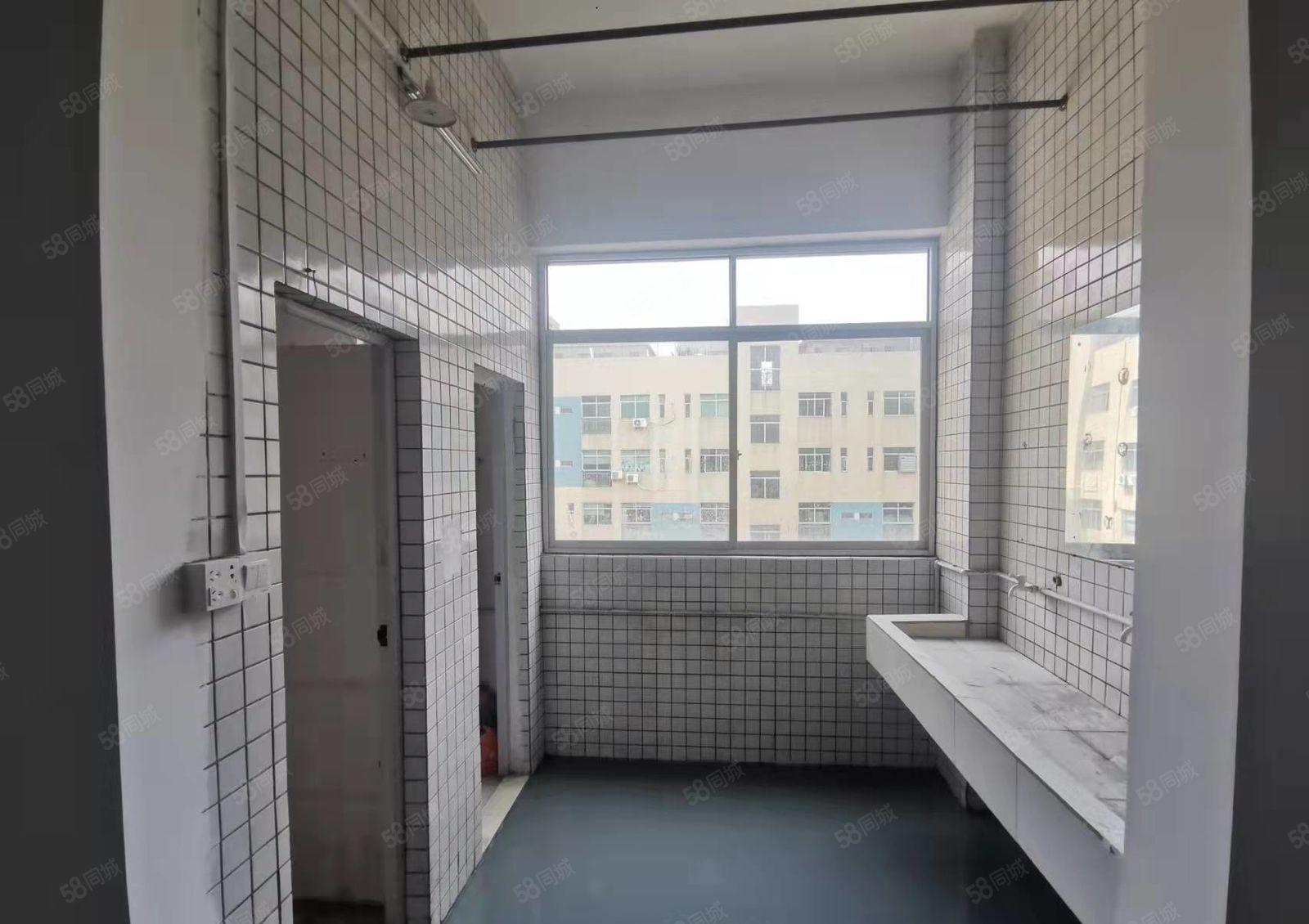 龙华清湖新出180平办公厂房出租