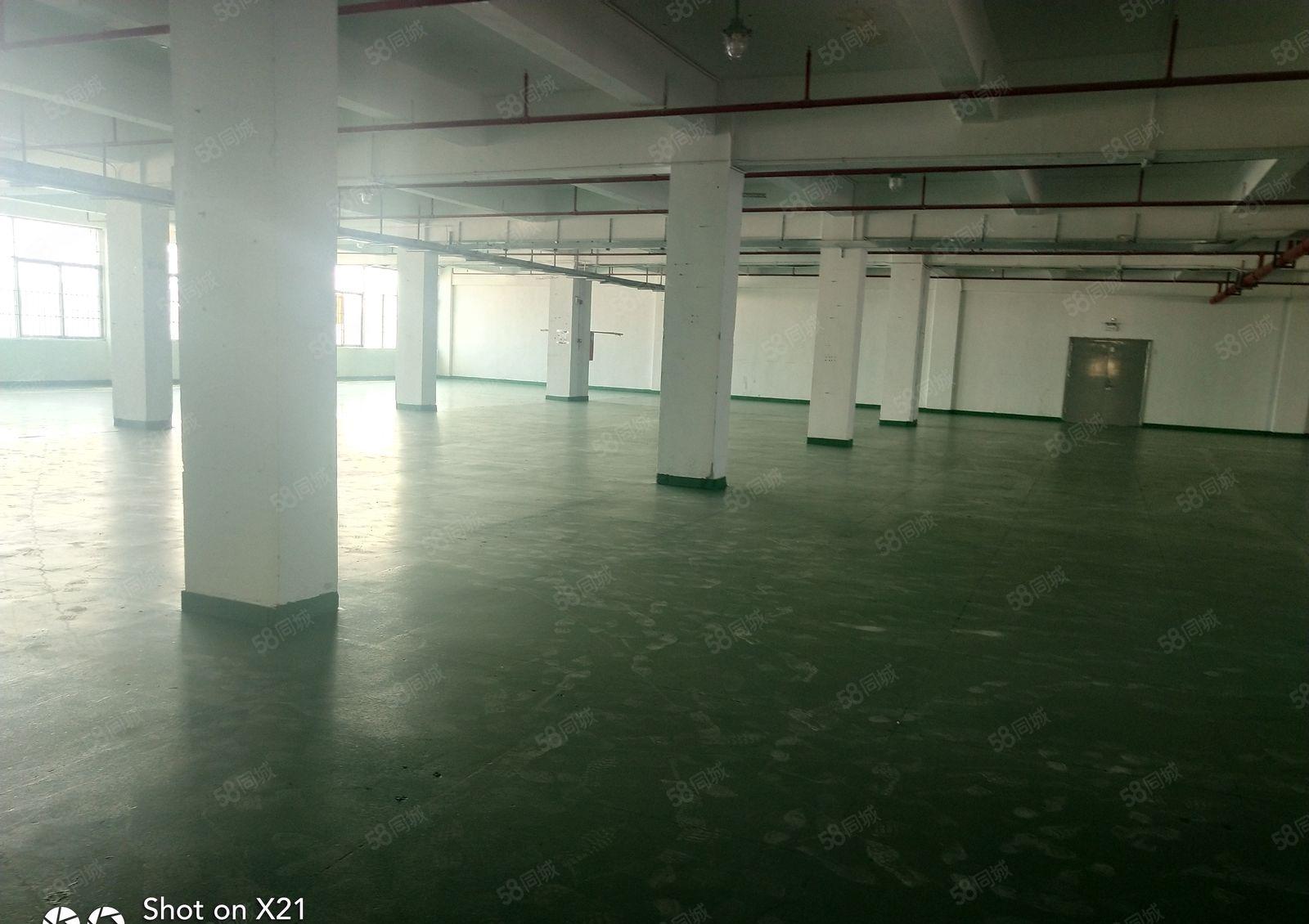 观澜主干道上独院厂房4100平米，每层1025平米，可分租