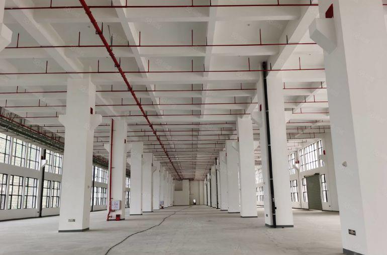 70000平龙华原房东厂房出租200起租带补贴红本过环评实际