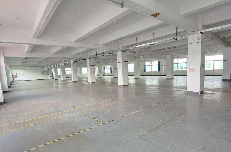 龙华工业园一楼楼上厂房仓库出租1000平方可分200起租
