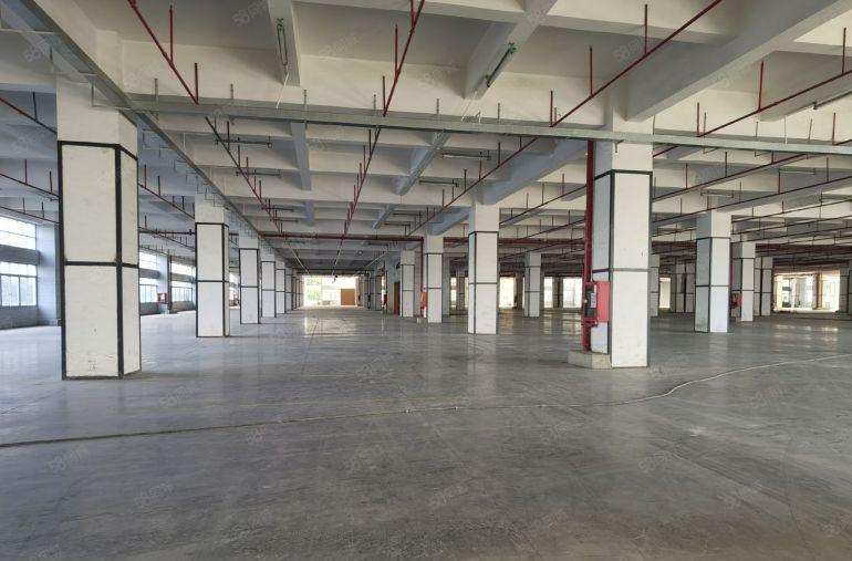 龙华地铁口原房东厂房仓库3600平出租带丙二类消防层高6米