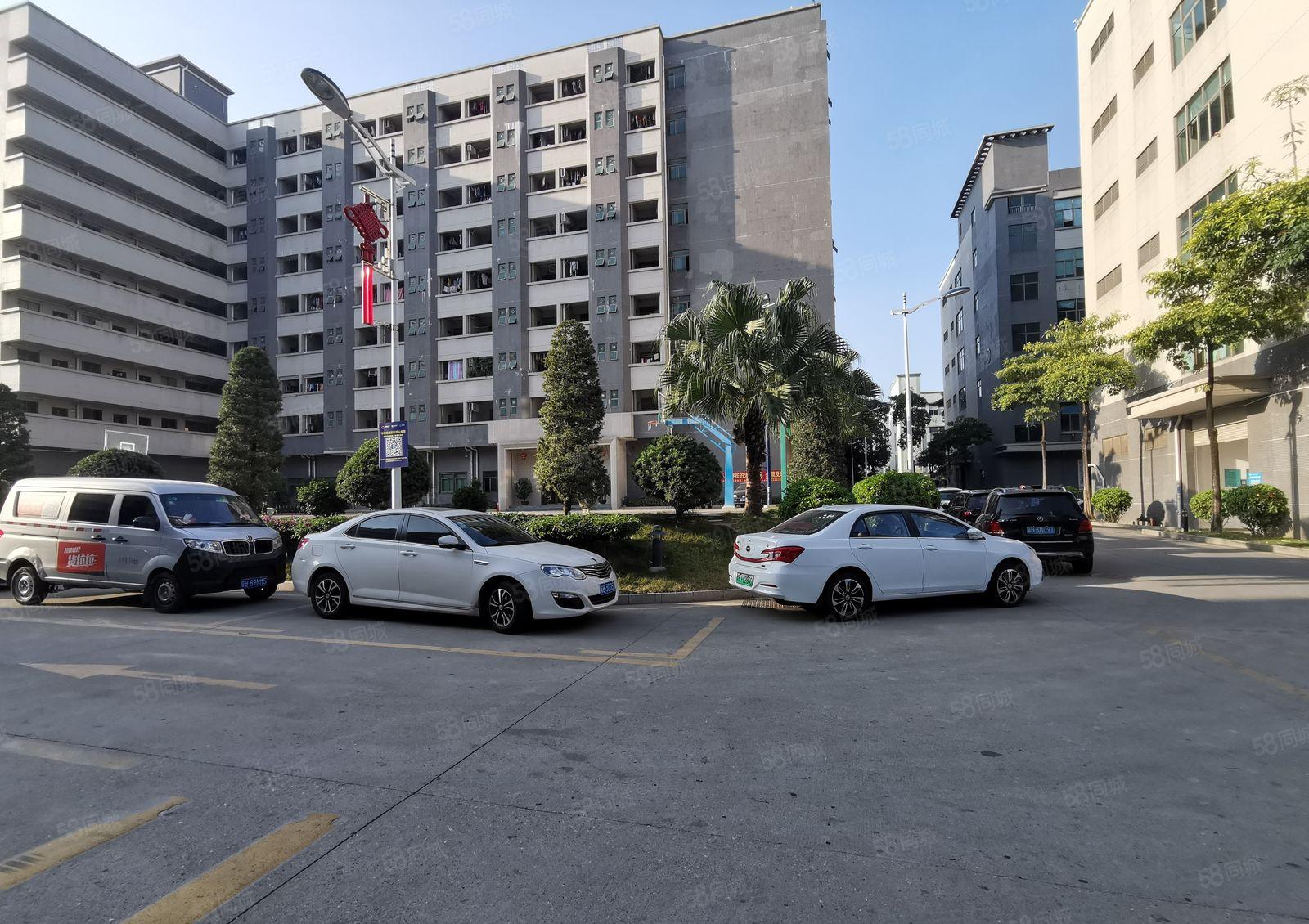 龙华大浪联建原房东工业园1600平带精装修一楼厂房出租可分租