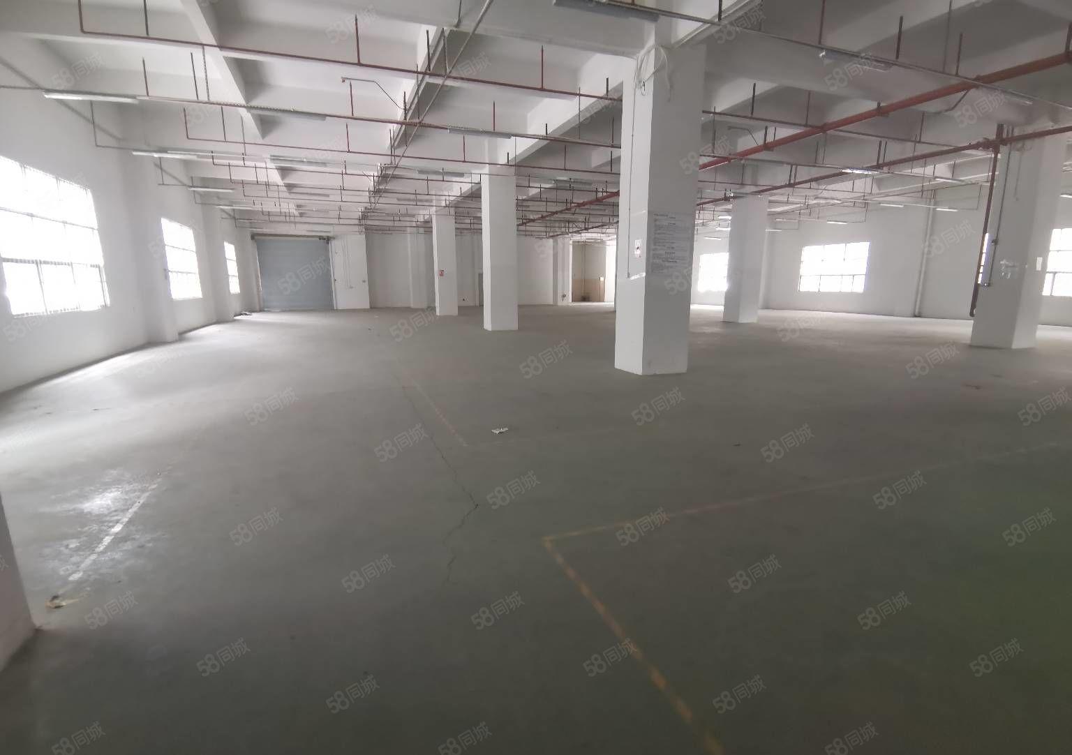 28元起龙华大浪原房东厂房仓库5000平500平起租，地铁旁