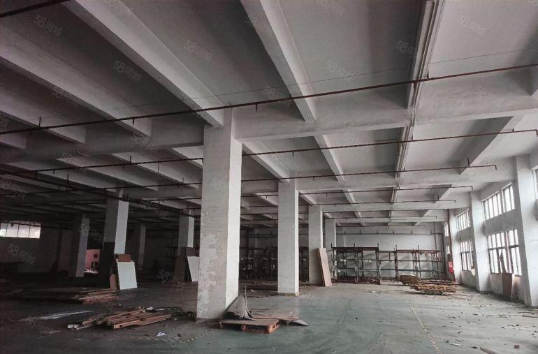 原房东红本厂房1楼1500平直租价格优惠