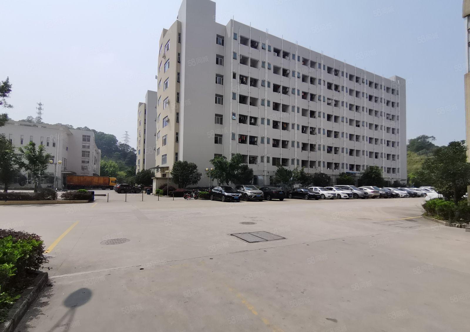 龙华大浪新出100平起分租独栋厂房仓库写字楼出租精装修地铁口