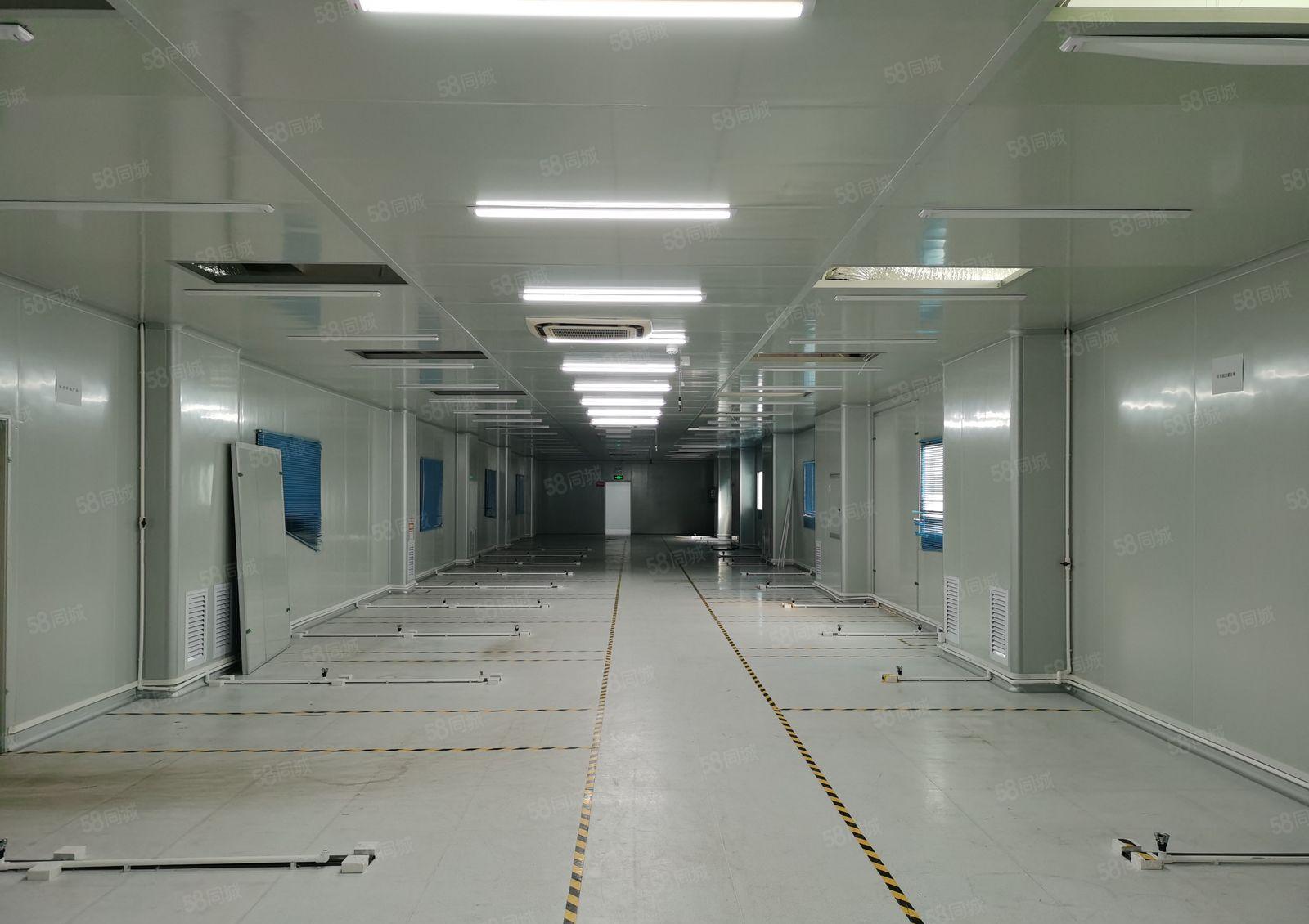 龙华大浪爱义学校标准无尘车间650平无转让费高速路口可办环评