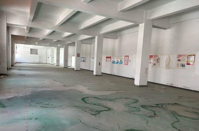 医疗相关行业有专项补贴龙华中心独院7800平厂房出租