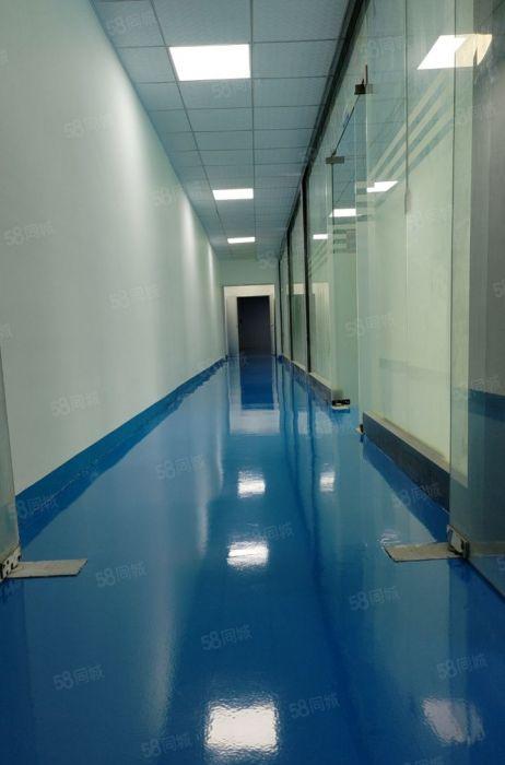 大浪布龙路780平带装修厂房低价出租