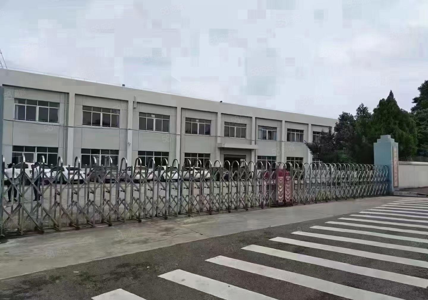 深圳观澜同富裕工业区新出12楼4000平方红本厂房低价出租