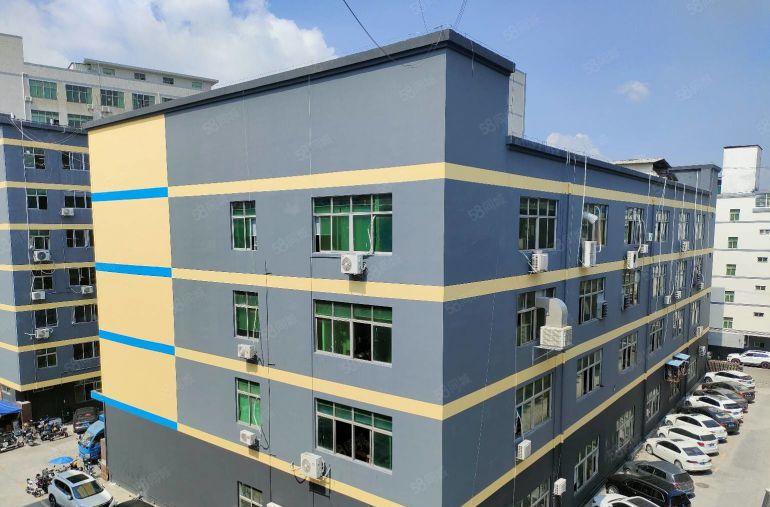 龙华大浪精装修1300平厂房出租 可分租 工业园低价仓库出租