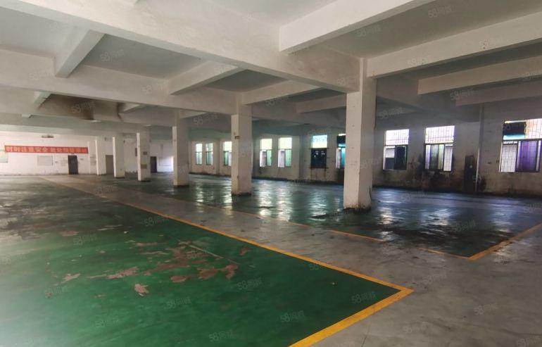 龙华富士康附近原房东2000平精装修厂房仓库红本实际面积出租