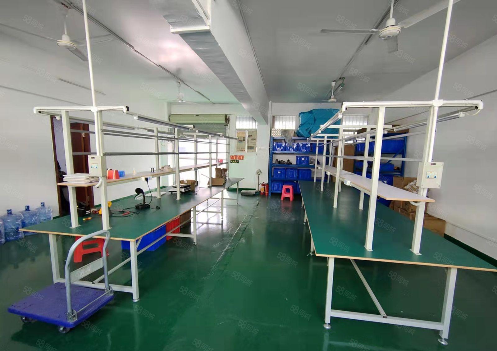 深圳龙华大浪新出200平精装办公厂房出租