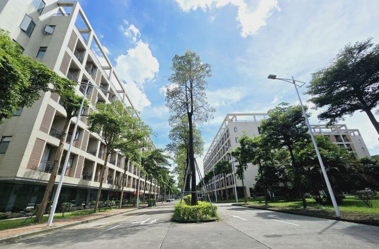 龙华大浪原房东精装修写字楼厂房出租1000平方至3000平方