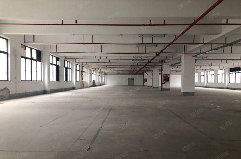 （出租）龙华清湖一二楼4000平带办公厂房出租，可生产可办公
