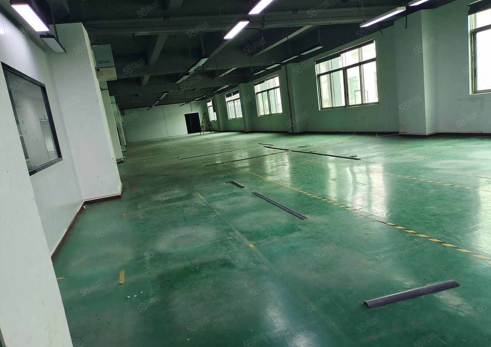 观澜章阁科技园新出独门独院5000平，园区空地大易招工