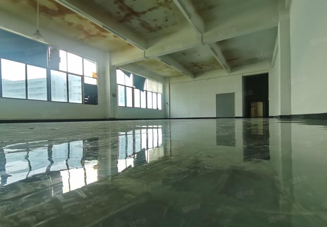 大浪25元，25元每平，精装600平厂房出租