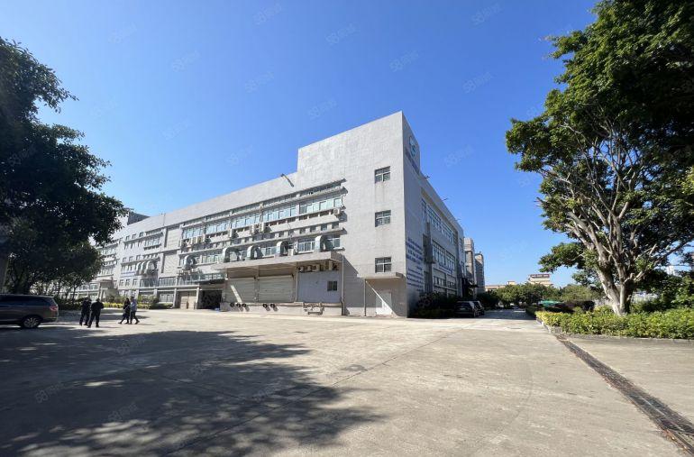 观澜实际面积一楼厂房2600平方仓库出租带卸货平台精装办公室