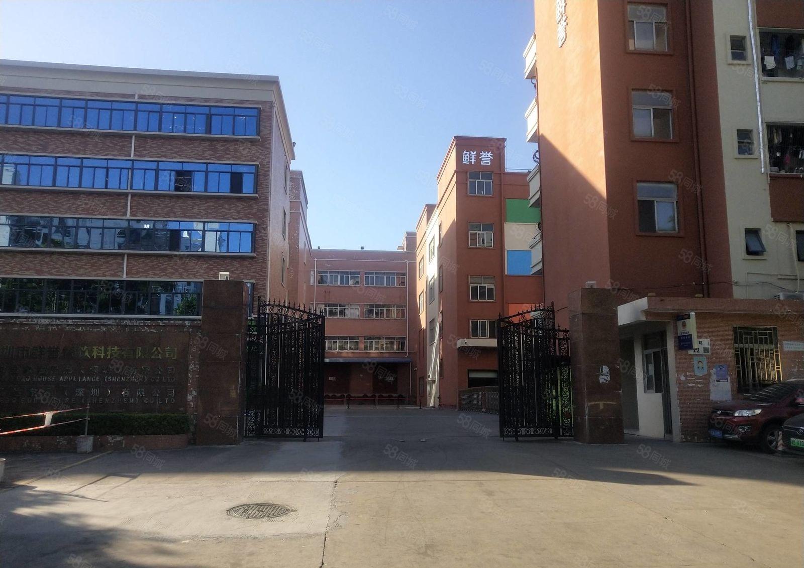 100平起分租观澜松元厦原房东独门独院二楼1000平厂房出租