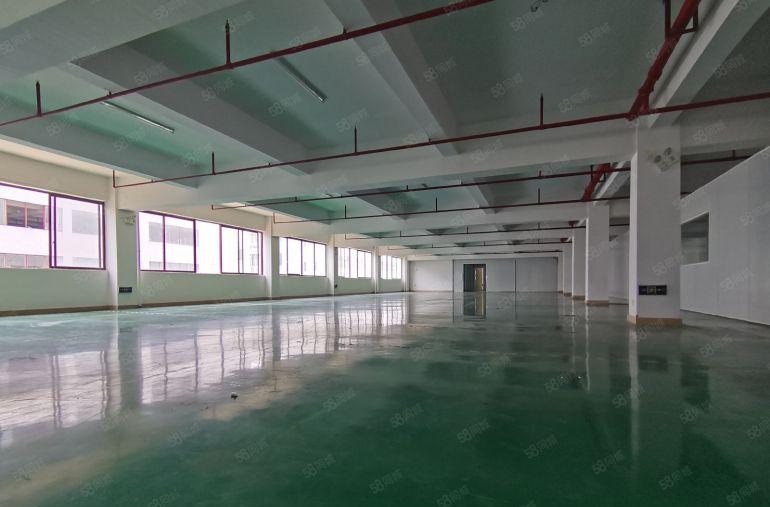 出租龙华大浪1000平标准厂房出租仓库招租500平起