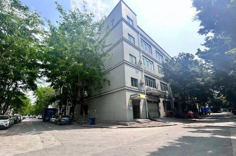 龙华清湖花园式红本1400平电商仓库厂房出租