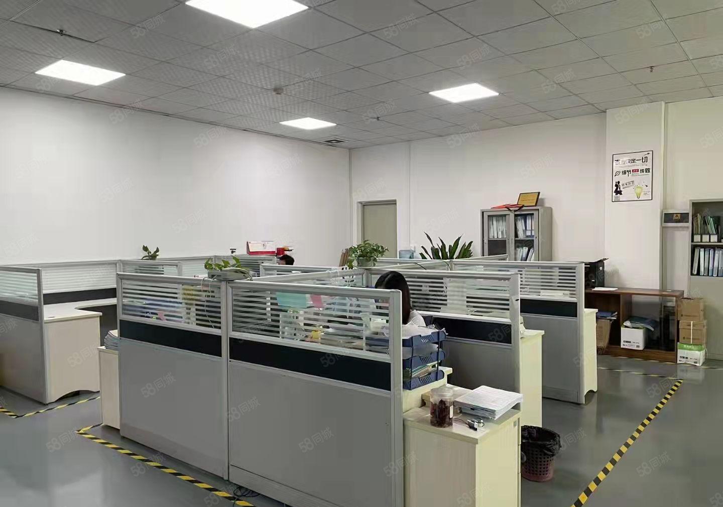 带装修厂房2600平米，拎包入住，无转让费