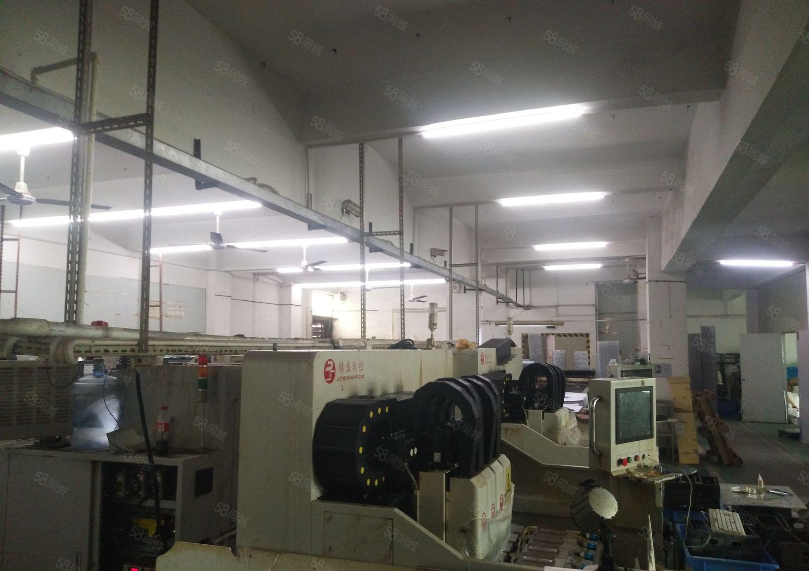 豪装，原房东，可以签8年合同