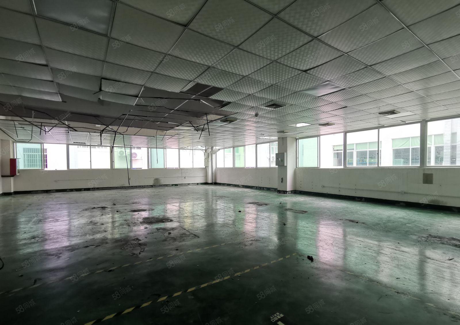 龙华大浪英泰独门独院工业园850平带精装修办公室仓库厂房出租