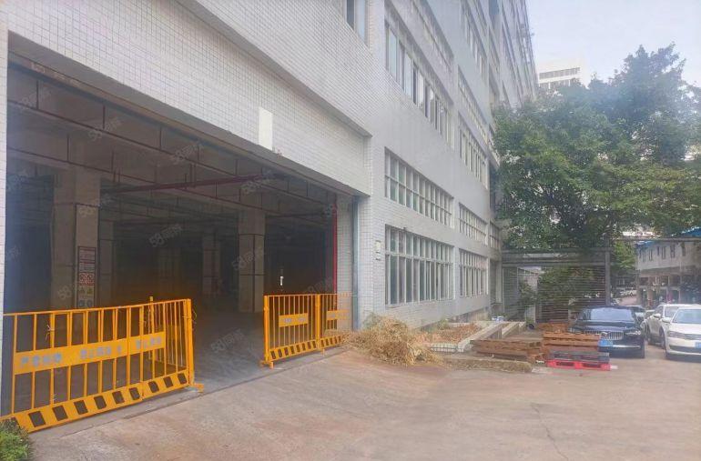 龙华一楼厂房仓库 层高6米 承载1吨每平米 火热直租