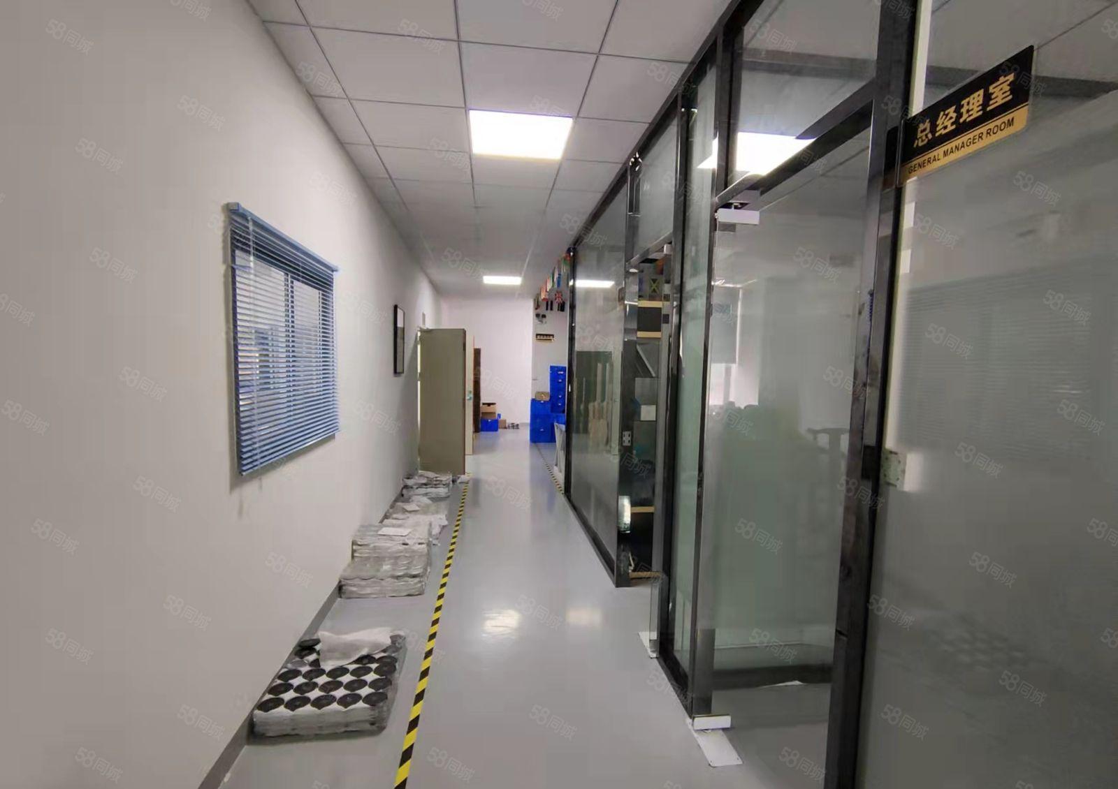 深圳 龙华大浪新出450平精装办公厂房出租