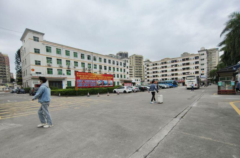 龙华观澜厂房出租3000平方600平起分带精装修无需转让费