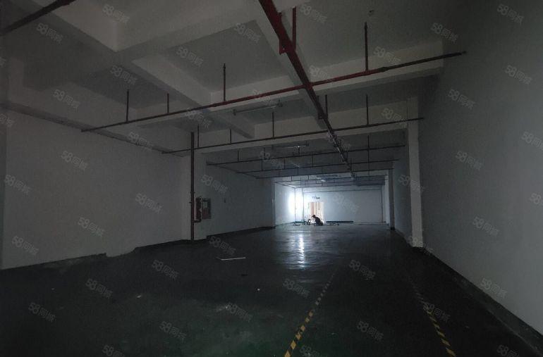 出租）观澜现成装修1000平标准厂房，原房东带红本200起分