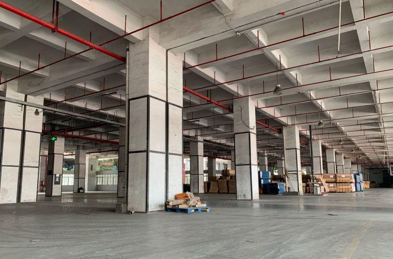 23元起租龙华深圳北站旁可进货柜车高标物流厂房1000平起租