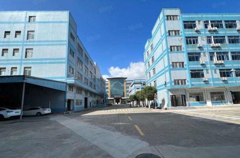 龙华清湖地铁口原房东出租2000平 办公电商仓库